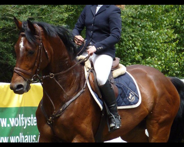 horse Solong (Oldenburg, 2002, from Sandro Hit)