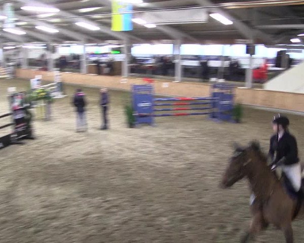 Reitturnier Vreden 2020