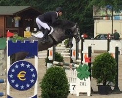 broodmare Eleanor 3 (Holsteiner, 2012, from Connor 48)