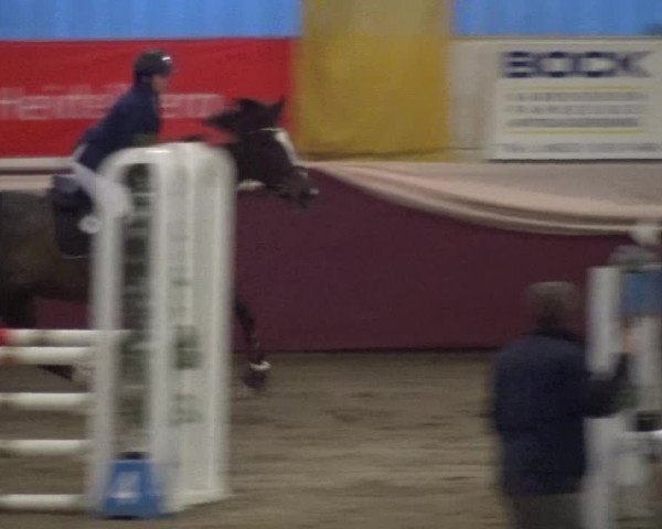 Reitturnier Eppelheim 2020