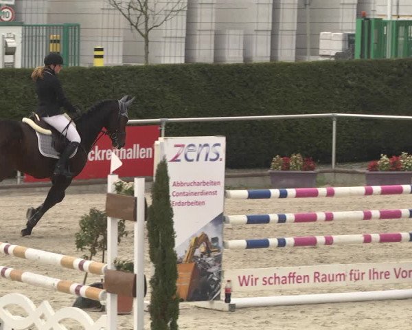 Reitturnier Durmersheim-Hardt 2021