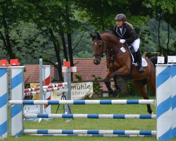 Springpferd Rhino Reenz (Deutsches Sportpferd, 2008, von Rich Charly I)