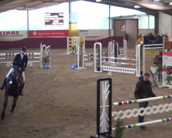 Reitturnier Eppelheim 2020