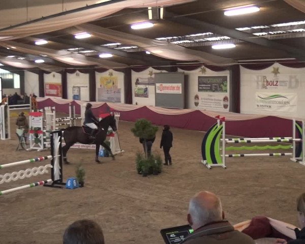 Reitturnier Eppelheim 2020