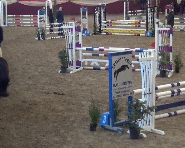 Reitturnier Eppelheim 2020