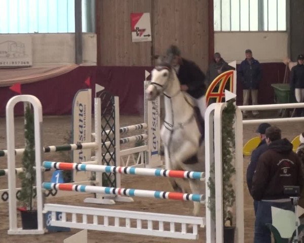 Reitturnier Eppelheim 2020