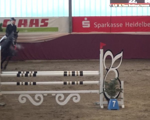 Reitturnier Eppelheim 2020