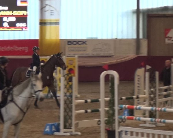 Reitturnier Eppelheim 2020