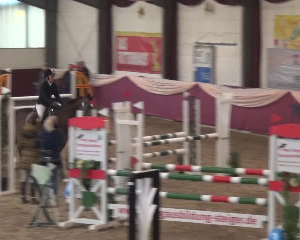 Reitturnier Eppelheim 2020