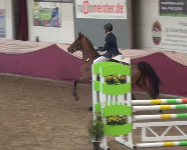 Reitturnier Eppelheim 2020