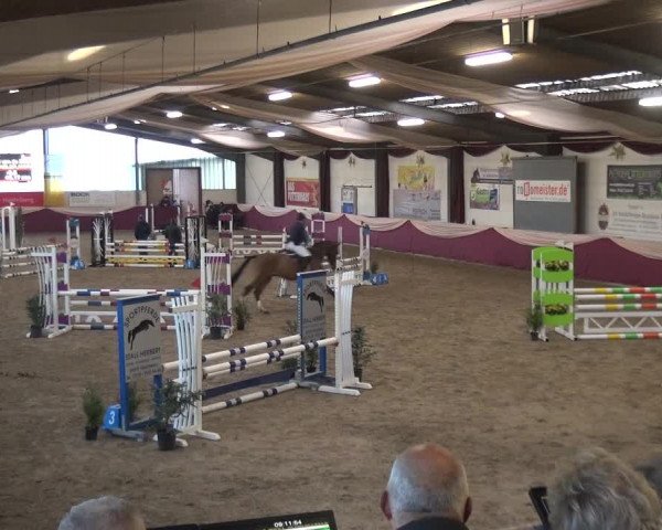 Reitturnier Eppelheim 2020