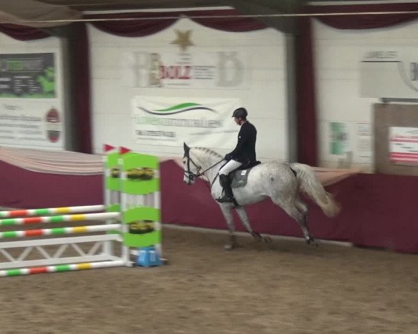 Reitturnier Eppelheim 2020
