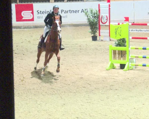 Reitturnier Henau 2019