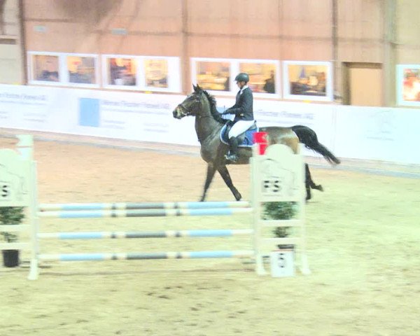 Reitturnier Henau 2019