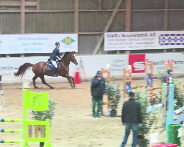 Reitturnier Henau 2019