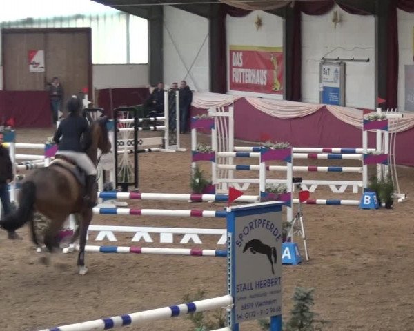 Reitturnier Eppelheim 2020