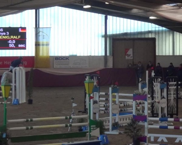 Reitturnier Eppelheim 2020