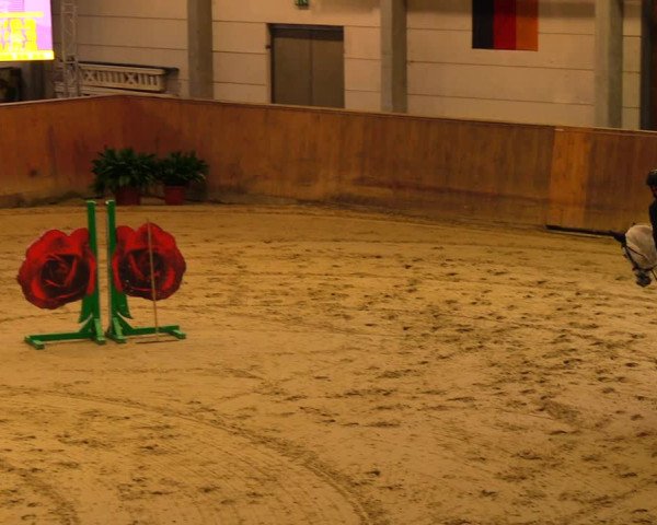 Reitturnier Prussendorf 2020
