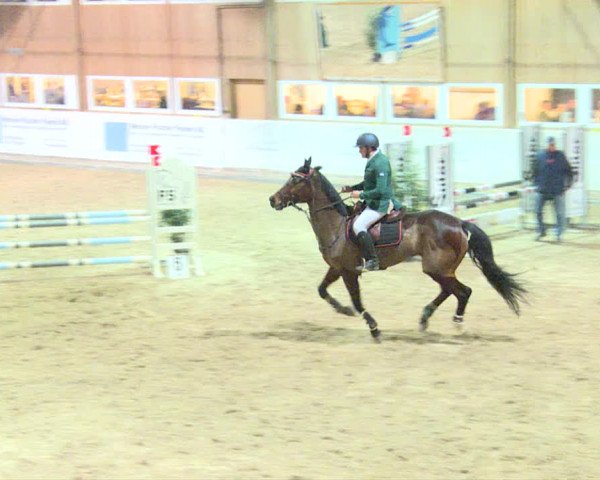 Reitturnier Henau 2019