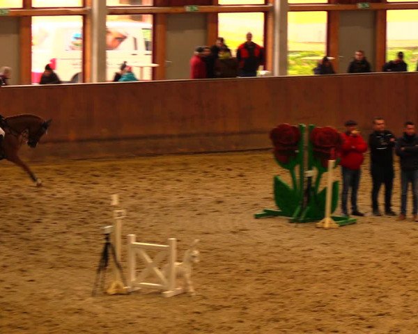 Reitturnier Prussendorf 2020