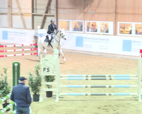 Reitturnier Henau 2019