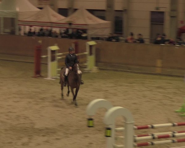 Jezdecký turnaj Prussendorf 2020