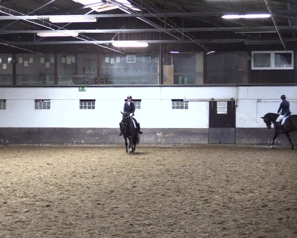 Reitturnier Ascheberg 2021