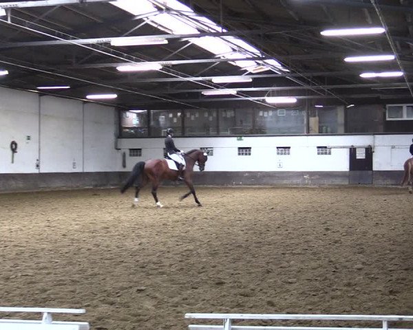 Reitturnier Ascheberg 2021