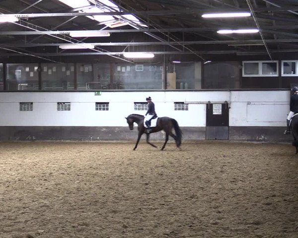 Reitturnier Ascheberg 2021