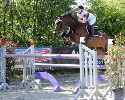 broodmare Little Doll N (Oldenburg, 2007, from Centolys)