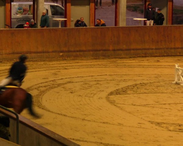 Reitturnier Prussendorf 2020