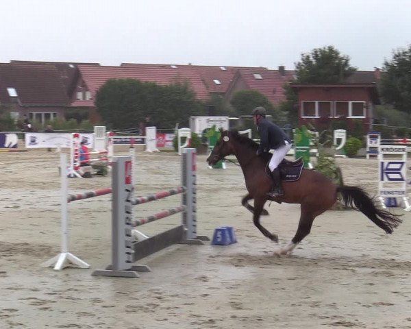 Reitturnier Ascheberg 2021
