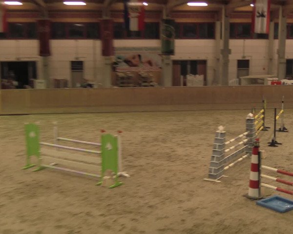 Reitturnier Prussendorf 2020