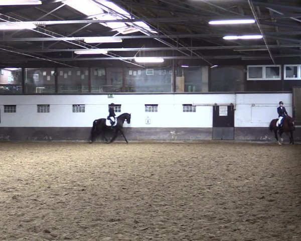 Reitturnier Ascheberg 2021