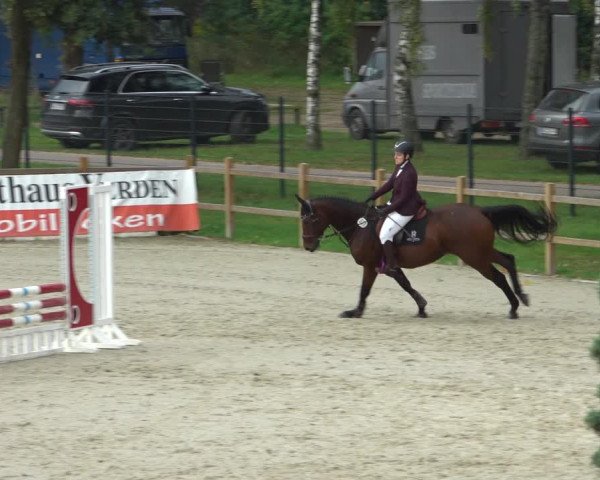 Reitturnier Westergellersen 2021
