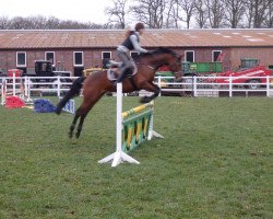 jumper Caramia Chica (Westphalian, 2006, from Cayetano L)