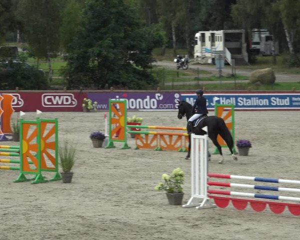 Reitturnier Westergellersen 2021