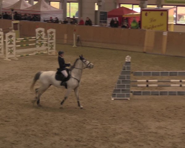 Reitturnier Prussendorf 2020