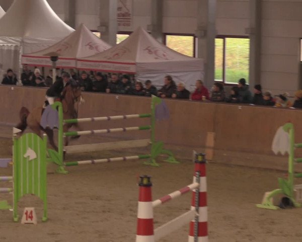 Reitturnier Prussendorf 2020