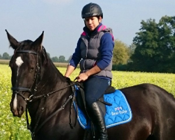 jumper Woody (Sachs-door. Heavy Warmbl., 2010, from Enrique)