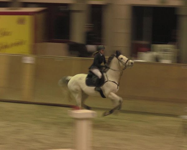Reitturnier Prussendorf 2020