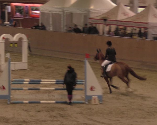 Reitturnier Prussendorf 2020