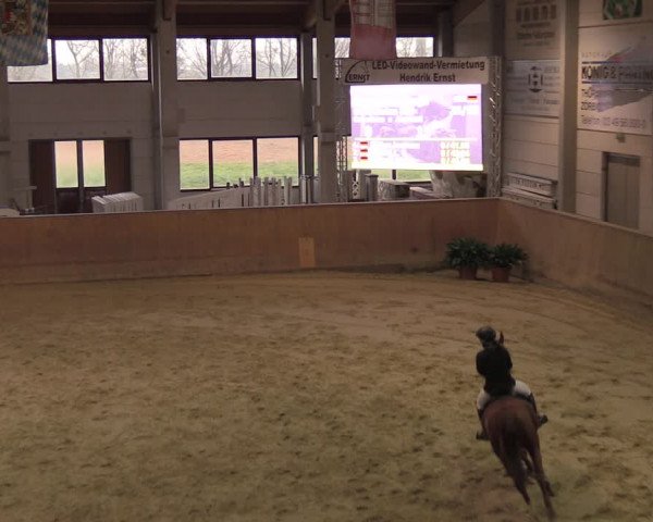 Reitturnier Prussendorf 2020