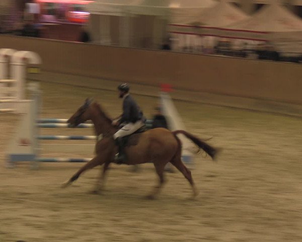 Reitturnier Prussendorf 2020