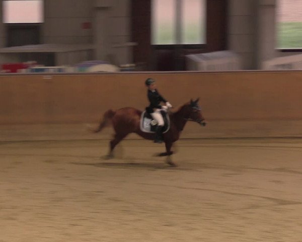 Reitturnier Prussendorf 2020