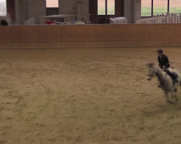 Reitturnier Prussendorf 2020