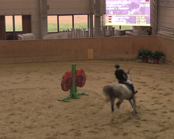 Reitturnier Prussendorf 2020