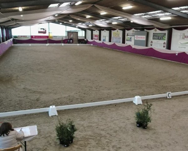Reitturnier Eppelheim 2020
