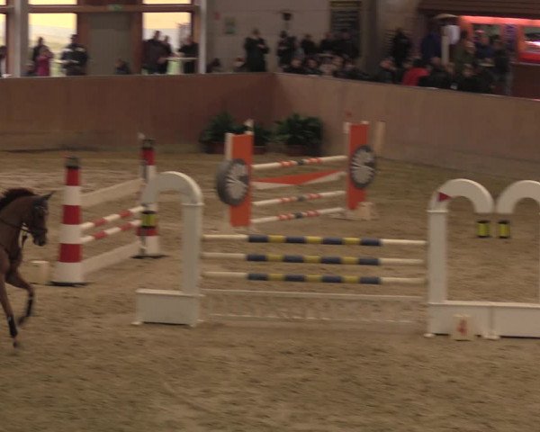 Reitturnier Prussendorf 2020