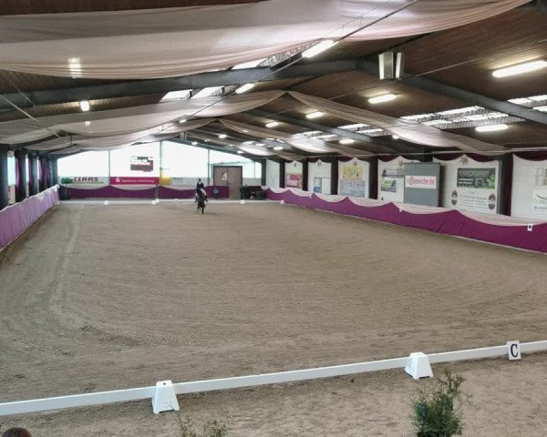 Reitturnier Eppelheim 2020